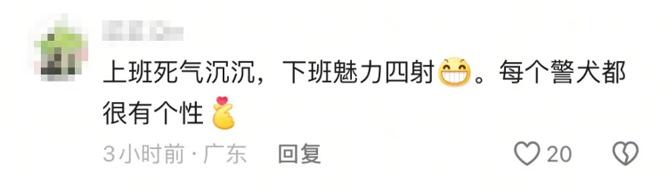 “上班死气沉沉、下班魅力四射”，警犬被通报