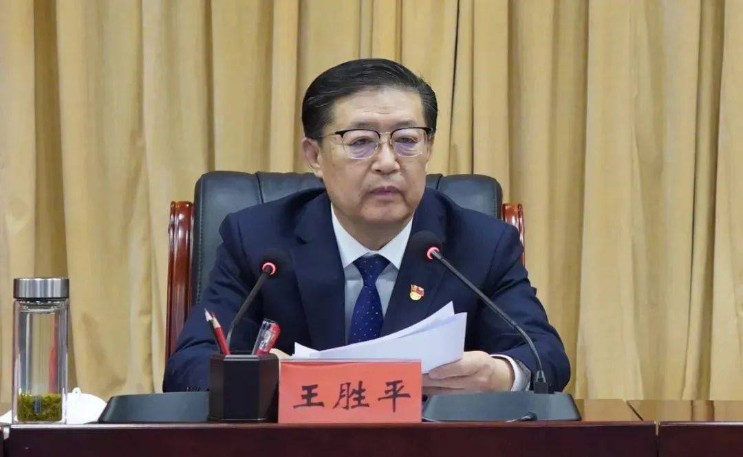王胜平，被查