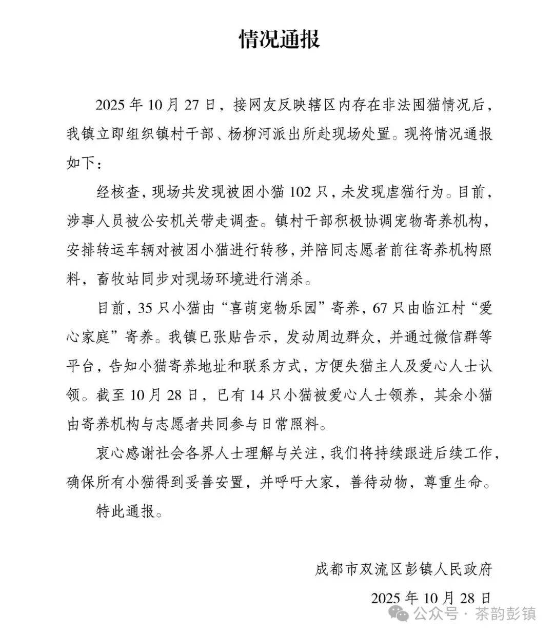 成都一空置房被曝上百只猫被关在铁笼,官方通报:未发现虐猫行为,被困小猫已安全转移,涉事人员被公安机关带走调查
