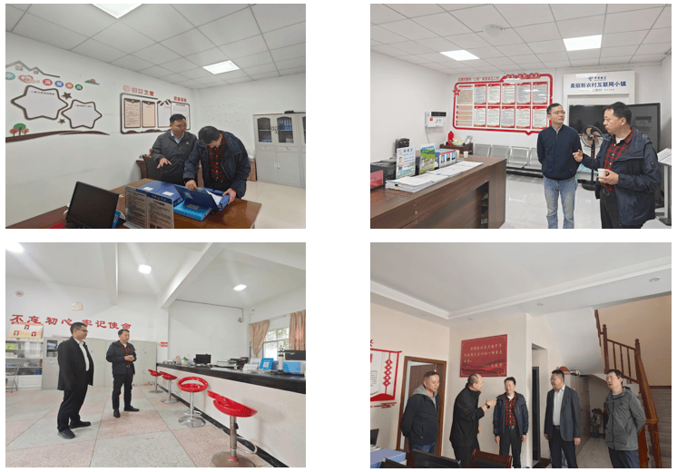 重庆医科大学附属第二医院党委副书记、院长胡鹏一行赴开州区大进镇开展乡村振兴调研