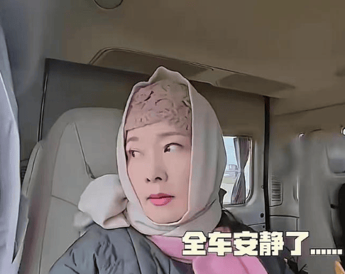 考古|何赛飞录节目把刘嘉玲刘晓庆等嘉宾得罪完，她是情商低还是真性情？