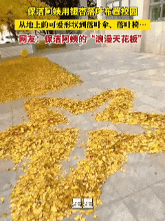 全网刷屏！“银杏伞”突然火了！网友：不建议推广，因为我没有