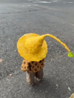 全网刷屏!“银杏伞”突然火了!网友:不建议推广,因为我没有