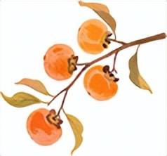 全网刷屏!“银杏伞”突然火了!网友:不建议推广,因为我没有