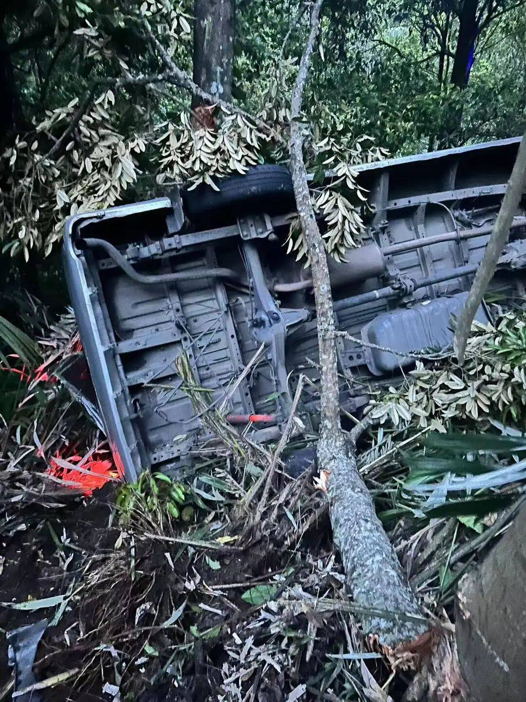 中国公民5死8伤!巴厘岛车祸亲历者发声:司机未采纳建议,事发后独自离开