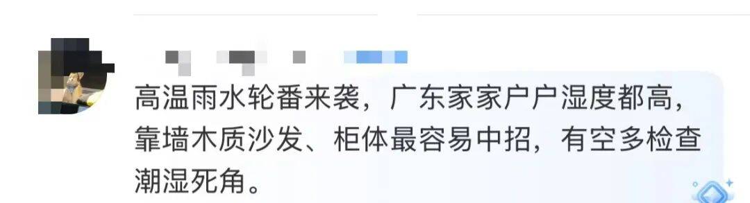 “我家好像有”！广东女子发现家中长出“黑色小刷子”，网友看后炸锅，深圳人速自查