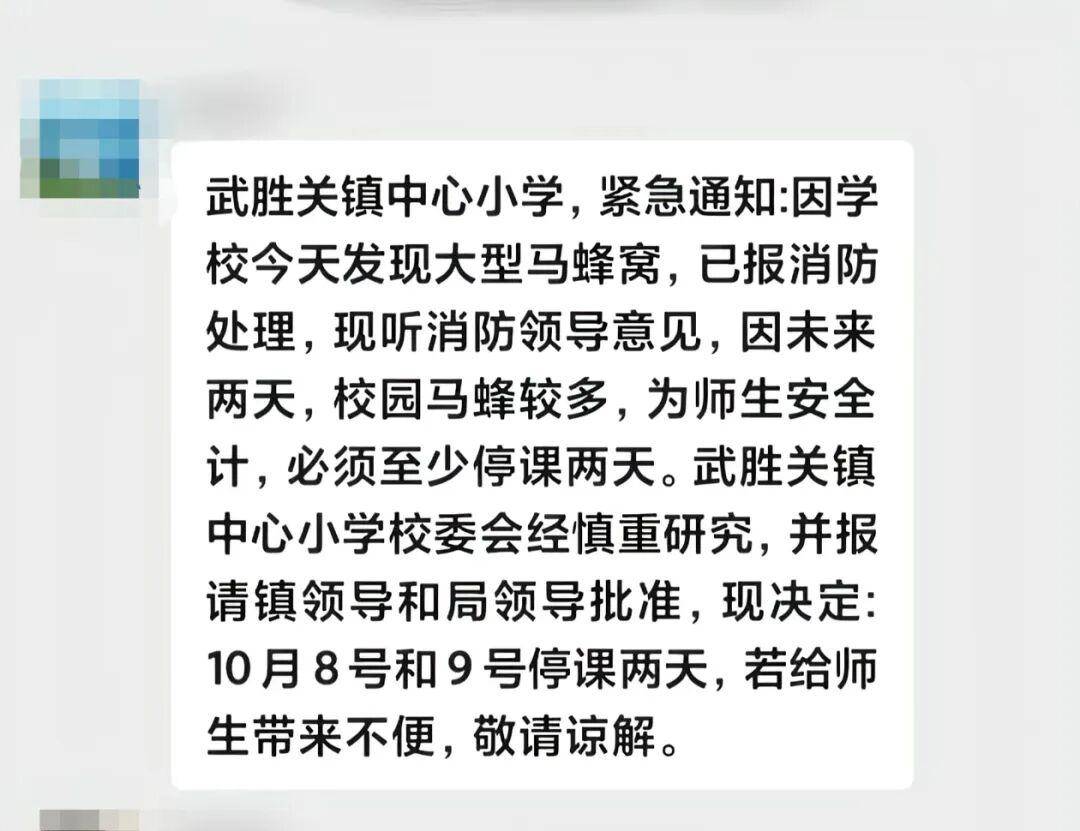 湖北一小学发现“水桶大”马蜂窝停课两天，有老师被蜇伤，官方：已处理并继续消杀