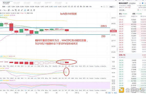 柚子币(柚子币价格今日行情走势)