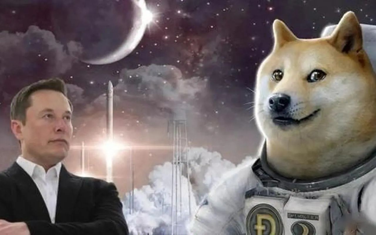 DOGECOIN(dogecoin官网中文版)