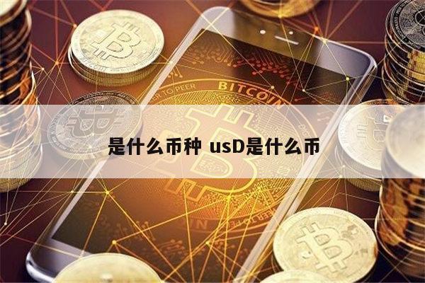 USD是什么货币(usd是什么货币汇率人民币)