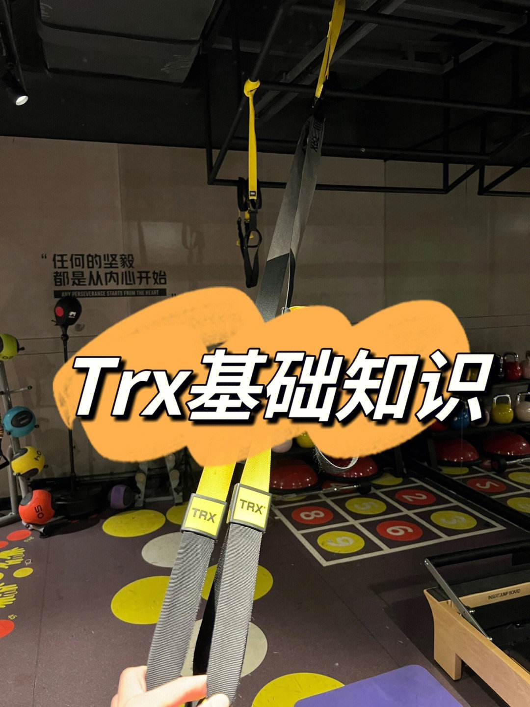 TRX(trx价格)