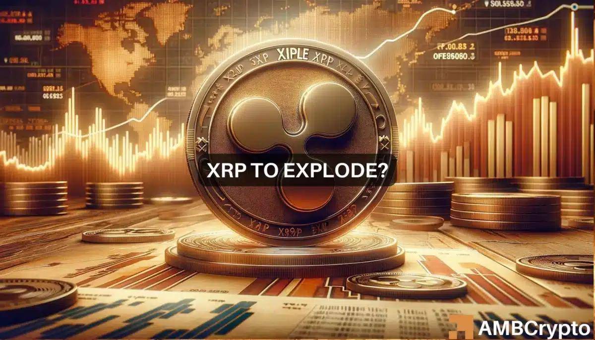 XRP瑞波币最新消息(2024十大潜力虚拟币)